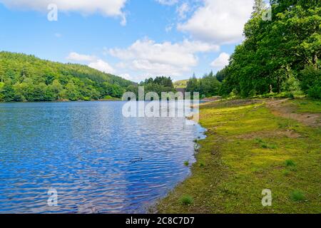 Auf den Moos bedeckten Ufern des Derwent Reservoir, nahe am Wasserrand, in Richtung Howden Dam Stockfoto