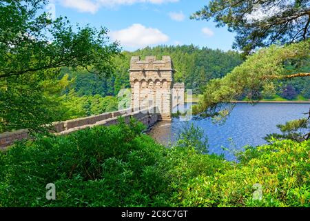 Blick durch dichtes Laub zu den Türmen von Howden Dam an einem trüben Sommertag Stockfoto