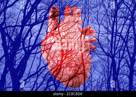 Digitale Kunst Zeichnung des Herzens mit Gefäßen. 3d-Rendering, Fotomontage Stockfoto