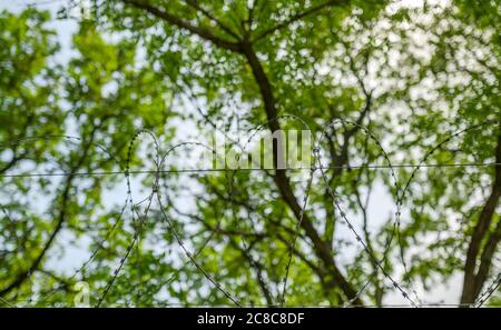 Stacheldraht auf Zaun mit Sky. Selektive konzentrieren. Stockfoto