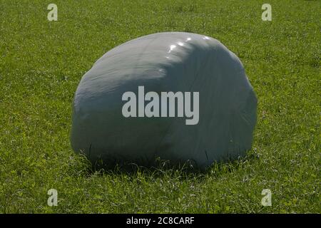 Ein Heuballen, in Folie gewickelt, auf einer üppigen Wiese. Stockfoto