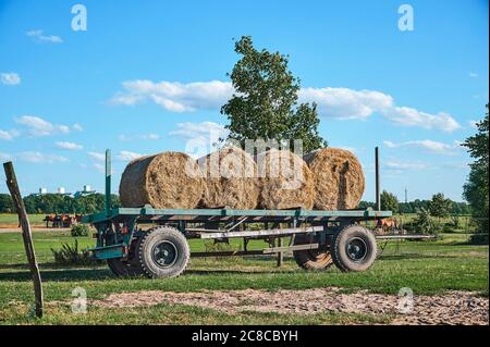 Ein alter Anhänger mit Strohballen, die auf einer Wiese stehen. Stockfoto