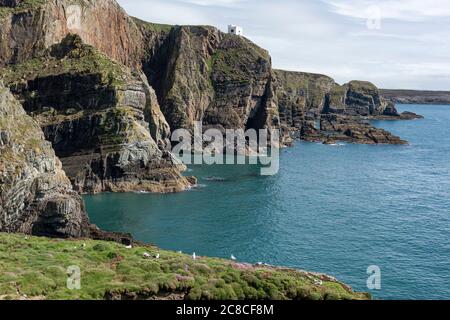 Ellin's Tower auf den Klippen über dem Leuchtturm South Stack, Anglesey Stockfoto