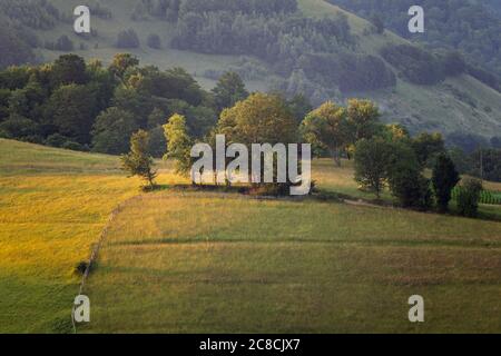 Sommersonnenaufgang im siebenbürgischen Dorf. Luftnebellandschaft in Siebenbürgen, bei Sonnenaufgang Stockfoto