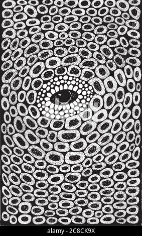 Auge - mystische Tuschezeichnung. Fantastische abstrakte schamanische Kunstwerke. Stock Vektor
