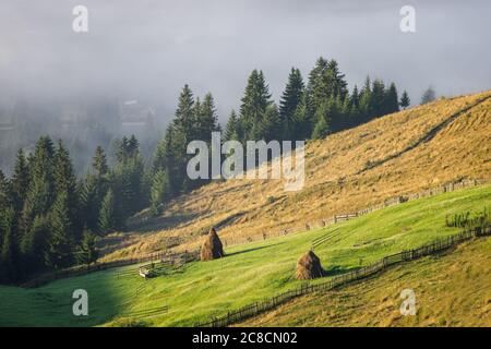 Sommersonnenaufgang im siebenbürgischen Dorf. Luftnebellandschaft in Siebenbürgen, bei Sonnenaufgang Stockfoto