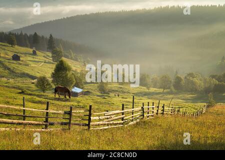 Sommersonnenaufgang im siebenbürgischen Dorf. Luftnebellandschaft in Siebenbürgen, bei Sonnenaufgang Stockfoto