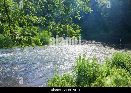 Flache Roaring River, flacher sauberer Fluss im Sommer Stockfoto