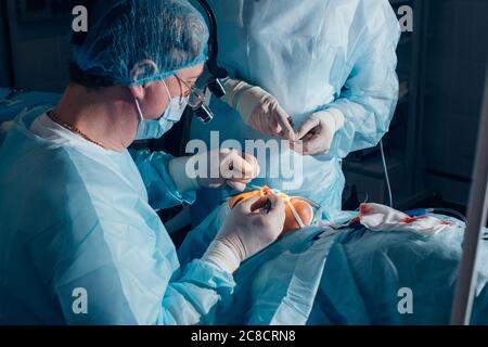 Chirurg, der kosmetische Chirurgie an der Nase im Operationssaal des Krankenhauses durchführt. Chirurg in Maske trägt chirurgische Lupen während des medizinischen Eingriffs. Nasenaugment Stockfoto