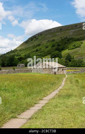 Die Wildblumenwiesen bei Muker in Swaledale Stockfoto