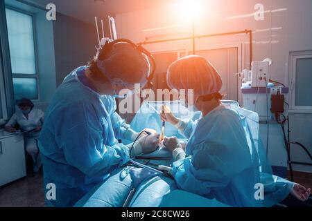Zwei Tierärzte im Operationssaal nehmen mit Kunstlicht und blauem Filter Stockfoto