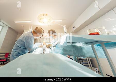 Weitblick eines Teams von vier Chirurgen, die im Dunkeln ODER im Krankenhaus an einem Patienten operieren Stockfoto