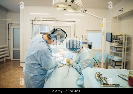 Weitblick eines Teams von vier Chirurgen, die im Dunkeln ODER im Krankenhaus an einem Patienten operieren Stockfoto