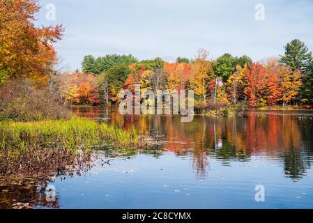 Fluss mit Banken in dichten Laubwald bedeckt. Atemberaubende Herbstfärbung. Eine kleine Insel mit US-Flagge ist in der Mitte des Flusses zu sehen. Stockfoto