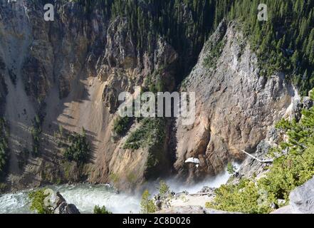 Spätfrühling im Yellowstone National Park: Blick hinunter in den Grand Canyon des Yellowstone River in der Nähe des Brink of the Lower Falls Stockfoto