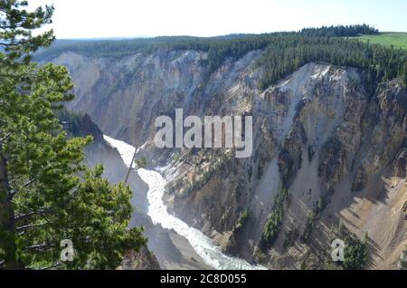 Spätfrühling im Yellowstone National Park: Morgensonne füllt den Grand Canyon des Yellowstone River flussabwärts vom Brink der Lower Falls Stockfoto