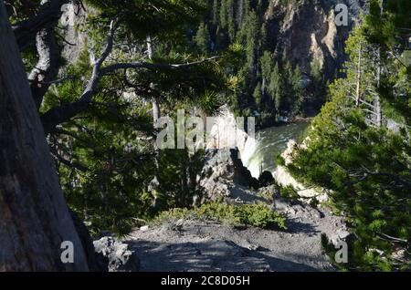 Spätfrühling im Yellowstone National Park: Oben auf dem Yellowstone River Lower Falls, wenn Morgensonne den Grand Canyon des Yellowstone River füllt Stockfoto