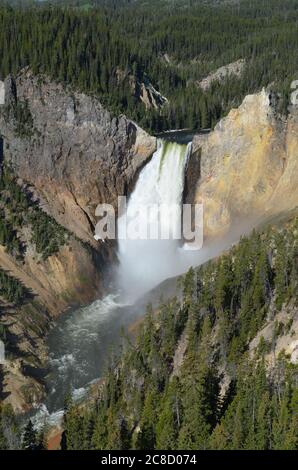 Spätfrühling im Yellowstone National Park: Lower Yellowstone Falls und der Grand Canyon des Yellowstone River vom Lookout Point aus gesehen Stockfoto