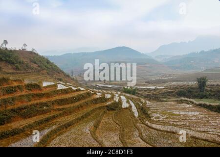 Eine Nahaufnahme einer vietnamesischen Reisterrasse an einem nebligen Wintertag, Sapa, Vietnam Stockfoto