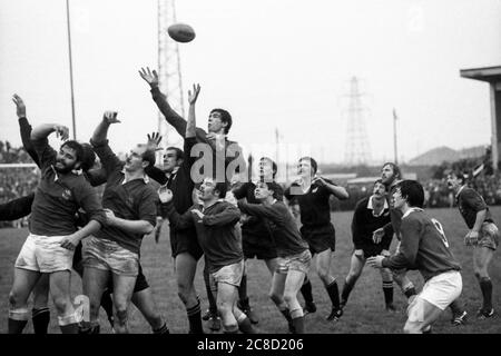 Llanelli RFC zweite Reihe Russell Cornelius gewann guten Ball gegen die Touren Neuseeland All Blacks im Stradey Park, Llanelli am 21. Oktober 1980. Stockfoto