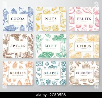 Handgezeichnete Nüsse, Gewürze und Beeren mit Früchten und Kokosnusskarten Set. Abstrakte Vektor Skizze Hintergründe Kollektion mit klassischen Retro Typografie Stock Vektor