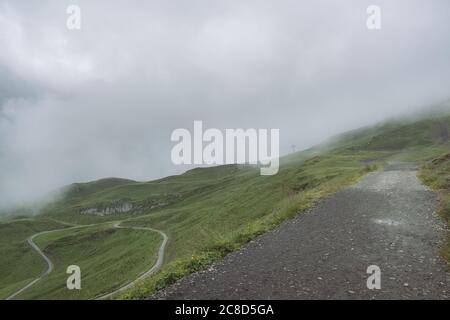 Eine Berner Landschaft mit Feldweg, Wanderwegen und grünen alîne-Weiden hoch oben in den Schweizer Alpen im Nebel an einem Sommertag in der Jungfrau Region Stockfoto