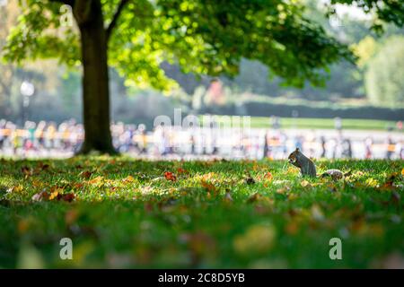 Teilnehmer an einer Massenteilnahme-Laufveranstaltung in London Stockfoto