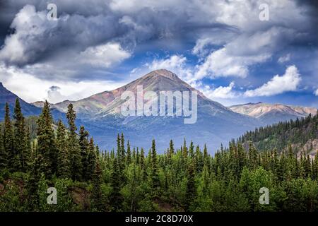 Blick auf die Alaskan Bergkette im Denali Nationalpark, Alaska Stockfoto