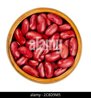 Rote Bohnen aus der Dose in Holzschale, auch bekannt als gewöhnliche Nierebohne, Rajma oder Surkh. Eine Varietät der Bohne, Phaseolus vulgaris. Nahaufnahme. Stockfoto