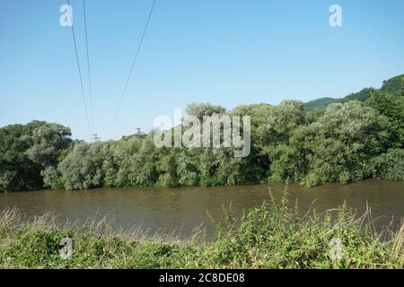 Elektrische Drähte über Hron Fluss in Zarnovica Region in der Mittelslowakei mit großen Weidenbaum berühren den Wasserstand. Das Wasser ist schlammig. Stockfoto