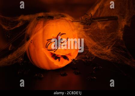 Ein halloween Kürbis mit einem Messer darin, schwarze Spinnen darüber und Spinnennetz darüber auf dunklem Hintergrund. Stockfoto