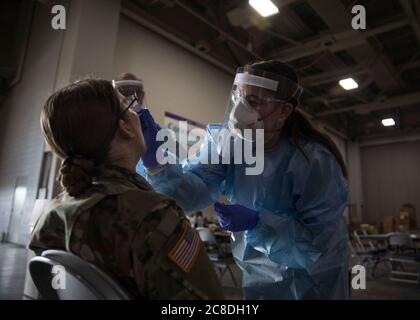 Flugarzt First Class Mary Lawrence, ein Medizintechniker der 151st Medical Group, führt am 14. Mai 2020 in Salt Lake City, Utah, einen COVID-19 Test an einem Mitglied der Utah National Guard in einem Versorgungslager durch. Über 120 Soldaten und Luftwaffe der Utah National Guard unterstützen die COVID-19-Reaktion, einschließlich Versorgung und Lagerverwaltung, Logistik und Tests. (USA Air National Guard Foto von Tech. Sgt. John Winn) Stockfoto