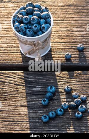 Einige Heidelbeeren in einem dekorieren kleinen Eimer auf Holzbanch im Garten am Sommeruntergang, gesunde Ernährung Konzept Stockfoto