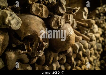 Knochenwand mit einer Reihe von Schädeln. Schädel und Knochen in Katakomben. Unterirdischer Friedhof. Stockfoto