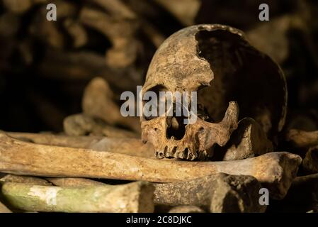 Schädel und Knochen in Katakomben. Alte gebrochene Schädel auf den Knochen platziert. Unterirdischer Friedhof. Stockfoto