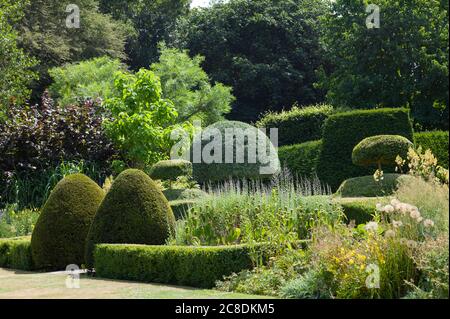 Eine Studie in Grüns. Ein kleines Arboretum bieten Schutz und einen Windgürtel, um diesen formellen Garten mit fein gepflegten Eibentopiarie und einer Weinerbsenerde zu schützen Stockfoto