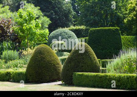 Eine Studie in Grüns. Am Rande eines kleinen Arboretums befindet sich dieser formelle Garten mit dem Schwerpunkt auf fein gepflegten Eibentopiarie und einem weinenden Birnenbaum. Stockfoto