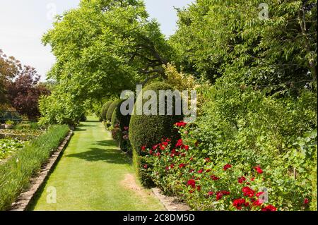 Ein wunderschöner englischer Garten The Courts, der das ganze Jahr über für die Öffentlichkeit zugänglich ist. Hier ist ein grasbewachsenen Weg neben einem Pool und gemischte krautige Grenze Stockfoto