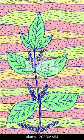 Brennnessel - florale Illustration. Bunte Pflanzenzeichnung. Grafik psychedelische mehrfarbige Linie Kunst. Vektor-Kunstwerk. Stock Vektor