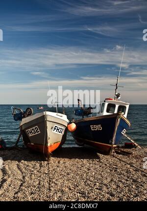 Fischerboote auf einem Kiesstrand in Beer, Devon Stockfoto