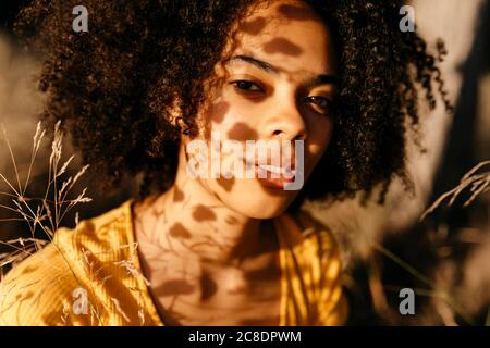 Nahaufnahme der schönen Frau mit afro Haar im Wald Stockfoto