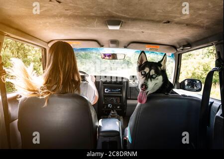 Frau mit zerzausten Haaren fährt, während Husky auf dem Sitz sitzt Im Fahrzeug Stockfoto