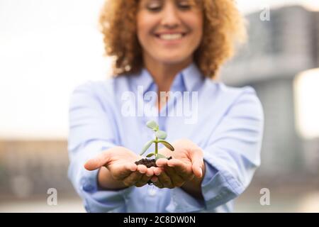 Nahaufnahme einer Unternehmerin mit lockigen Haaren, die eine kleine Pflanze hält Stockfoto