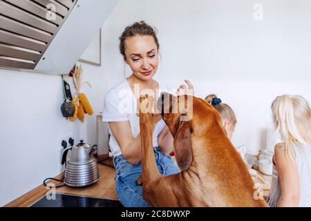 Hund Aufzucht auf Frau sitzen über Küche Zähler vorbei Mädchen zu Hause Stockfoto