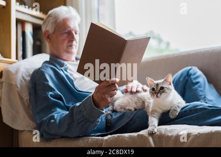 Älterer Mann liest Buch, während die Katze auf dem Schoß liegt Zu Hause Stockfoto
