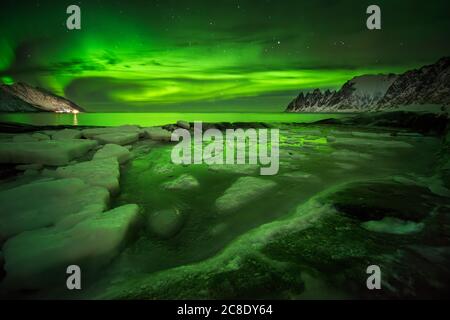 Aurora Borealis über float Eis auf Tugeneset felsige Küste mit Bergen im Hintergrund, Norwegen Stockfoto