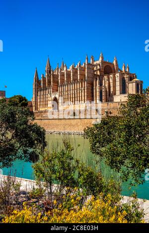 Spanien, Balearen, Palma de Mallorca, Palma Kathedrale an sonnigen Tag Stockfoto
