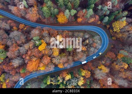 Deutschland, Bayern, Drohne Blick auf die kurvenreiche Landstraße, die durch den Herbstwald in Steigerwald führt Stockfoto