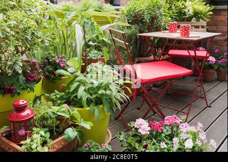 Balkon gefüllt mit einer großen Auswahl an Topfkräutern und Blumen Stockfoto