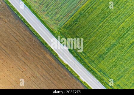 Deutschland, Bayern, Icking, Drohne Blick auf Landstraße zwischen braunen und grünen Feldern Stockfoto